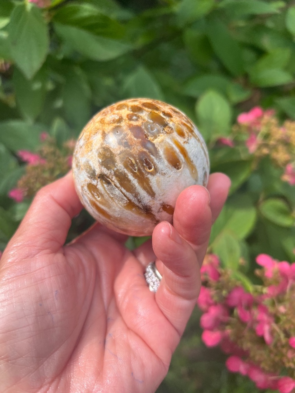 Coral (3( Jade sphere | Crystal